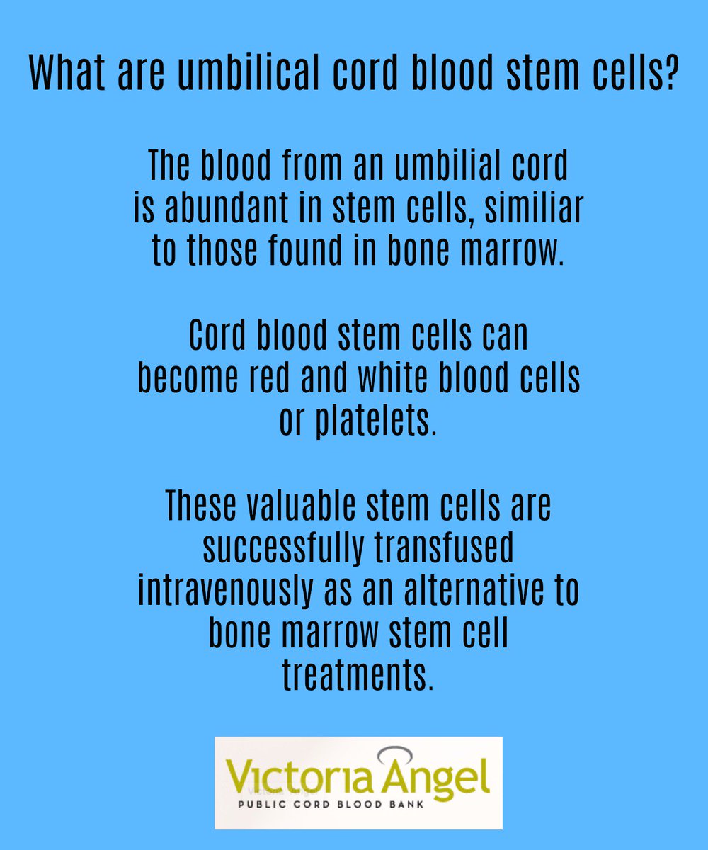_VictoriaAngel's tweet image. What are umbilical cord blood stem cells and why do we think it's so important to save them? ow.ly/znXJ30jCWMr #cordblood #baby