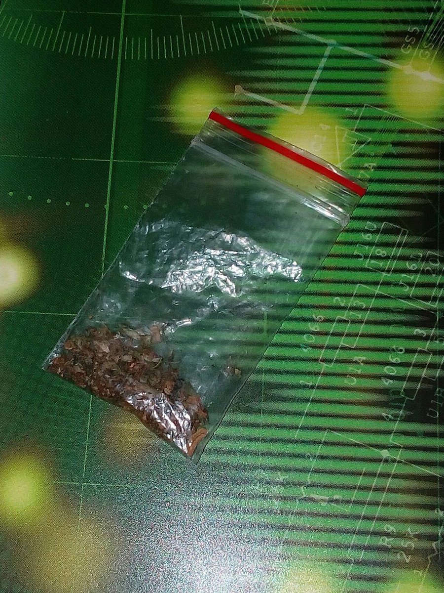Dankotopia's tweet photo. Police be like, " We arrested a suspect with possession of marijuana worth over $100000."
#stoned #stoner #weed #fukdapolice #Legalizeit https://t.co/itrWf7c0sT