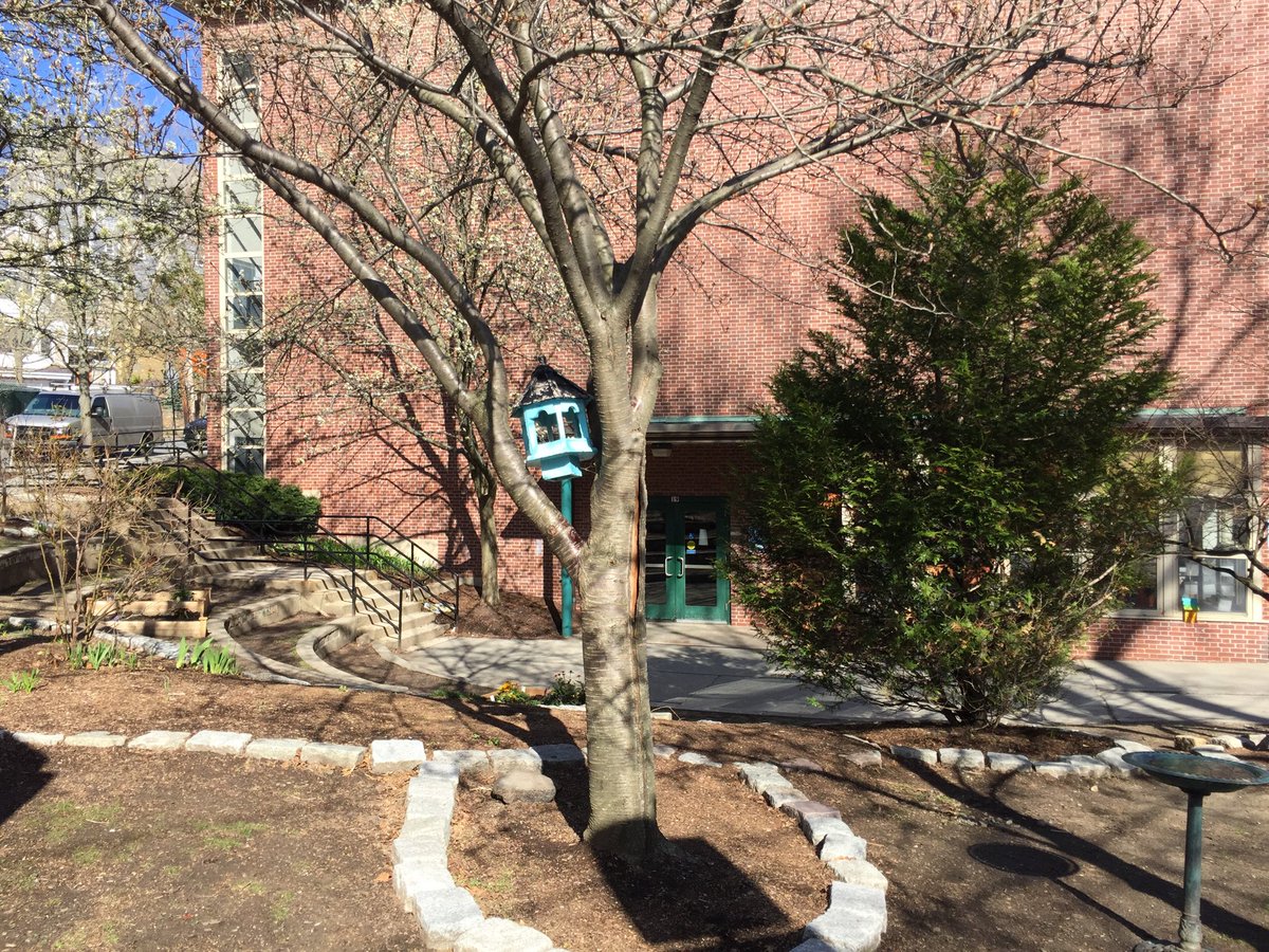 Come enjoy spring in the Driscoll Bird Sanctuary recently renovated by the Driscoll KEEP Club.