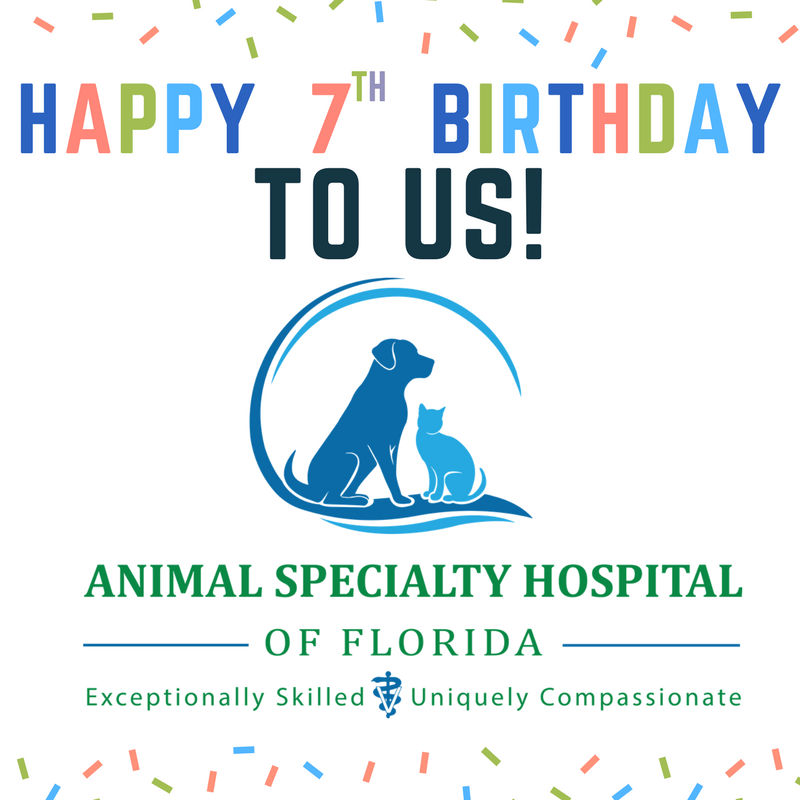 Ash Of Florida Ashofflorida Twitter