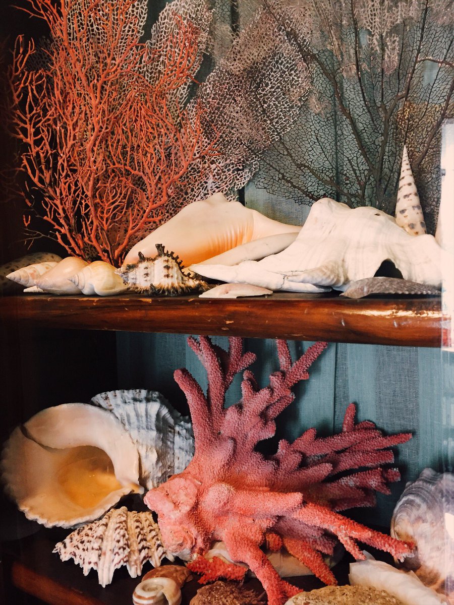 WanderingCoast's tweet photo. Today I visited the beautiful A la Ronde, in Devon. An eccentric house built by feminists in the late 18th century — a symbol of female independence and strength. Inspired by world travel and nature, the interior is cleverly decorated with exotic shells, feathers and curiosities. https://t.co/ygdAUfl5H3