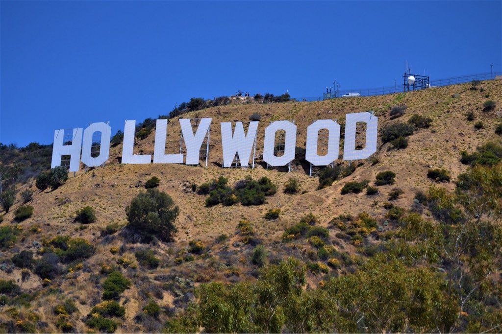 JLoganAustin's tweet photo. Oh baby I miss you! @crazyantfilms headed back to the City of Fallen Angels in MAY! We’re so excited to go out there and take these meetings and network with the right people! #staycrazy #getcrazy #roadtrip #hollywood #LosAngeles #photography #team #caitwait #awesome #beautiful https://t.co/WDgNYGWYMY