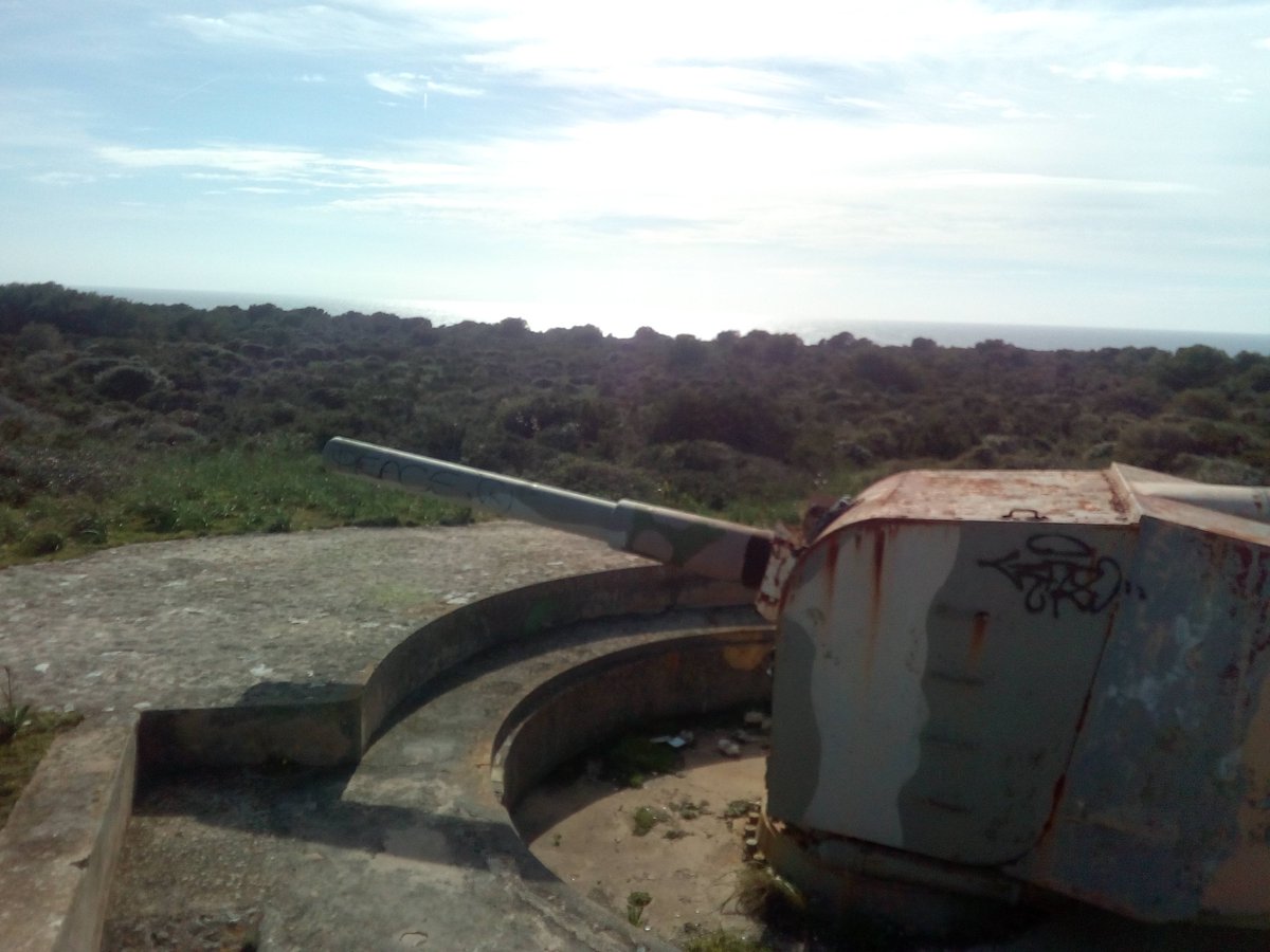 Benvinguts al compte de twitter oficial de La Granja D'Unicorns Del Campo De baix De Sant Esteve De Les Roures. Hos informaren dels ultims hibrits i mutacions produides i de les ventes i descomptes de llet d'unicorn.