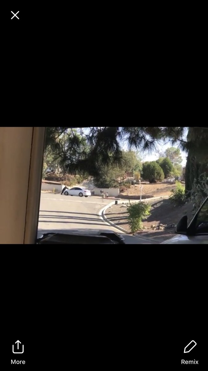 ariipaigee's tweet photo. A couple weeks ago i let someone borrow my car and then they hit &amp; drove off with their boyfriend on my hood ... i died watching the video 😂 https://t.co/QvRmHV8Aws