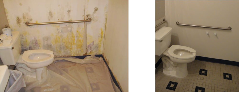 mouldgone's tweet photo. Eradicating the buildup of mould from your home or work place will improve the air quality and prevent structural damage.
Mould Gone are licensed professionals and experts in the treatment and removal of mould.
#Singapore #mould #treatment and #removal
#propertydamage https://t.co/b6EVaOPBGx