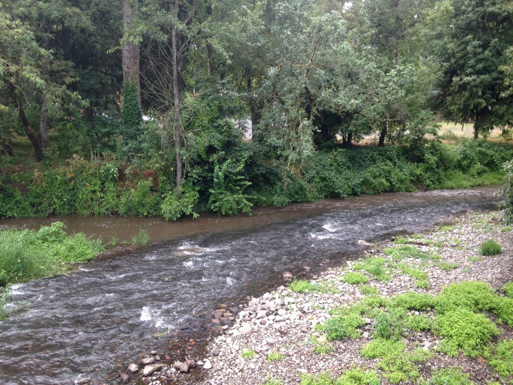 riverperkin's tweet image. Interested in learning more about #streamecology or #lightpollution? Willing to be a volunteer #fieldassistant for one or more nights? Let me know! #citizenscience #fieldecology #oregon #rivers #conservation #urbanecology