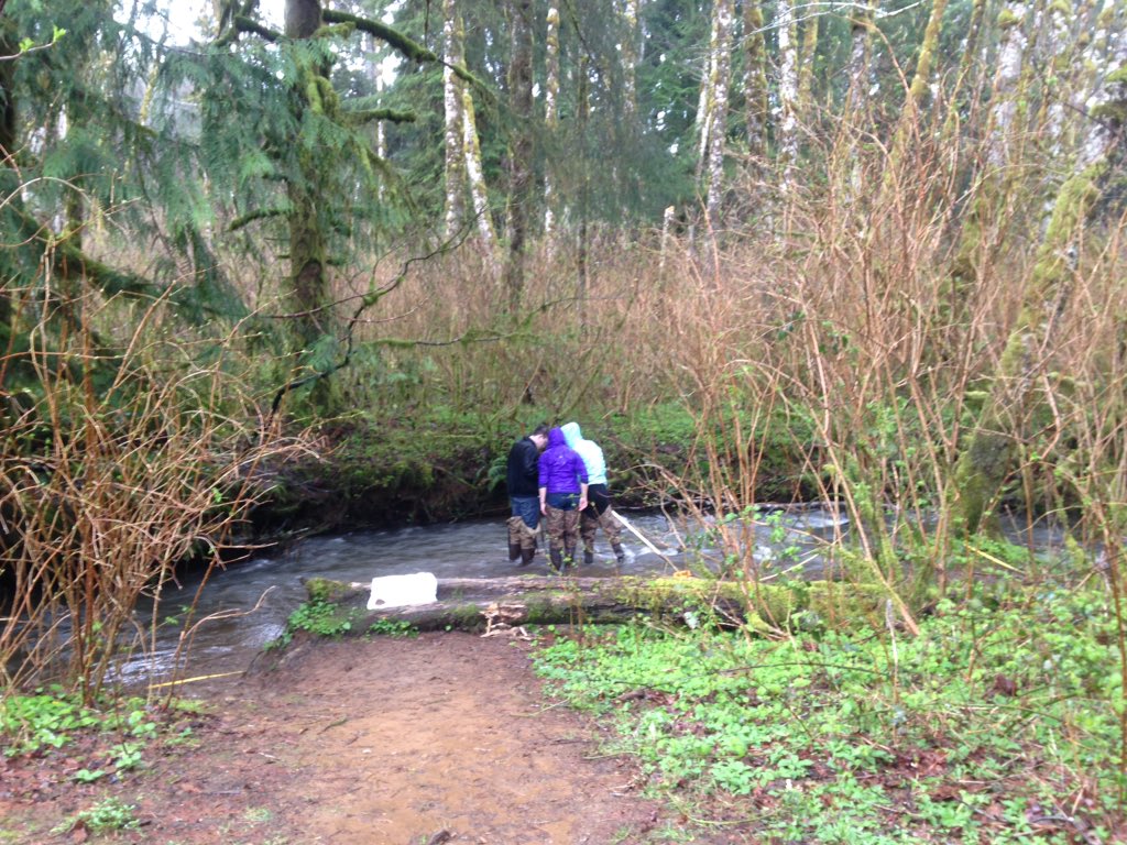 riverperkin's tweet image. Interested in learning more about #streamecology or #lightpollution? Willing to be a volunteer #fieldassistant for one or more nights? Let me know! #citizenscience #fieldecology #oregon #rivers #conservation #urbanecology