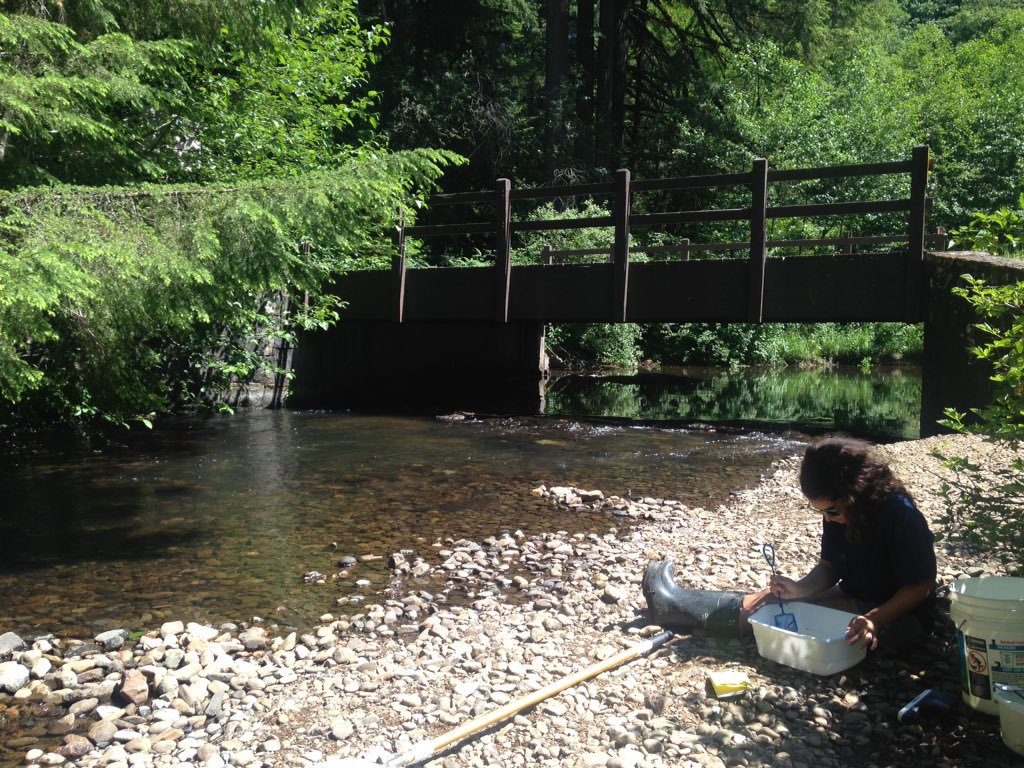 riverperkin's tweet image. Interested in learning more about #streamecology or #lightpollution? Willing to be a volunteer #fieldassistant for one or more nights? Let me know! #citizenscience #fieldecology #oregon #rivers #conservation #urbanecology