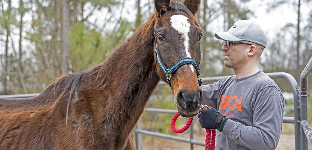 TeamASPCA tweet media
