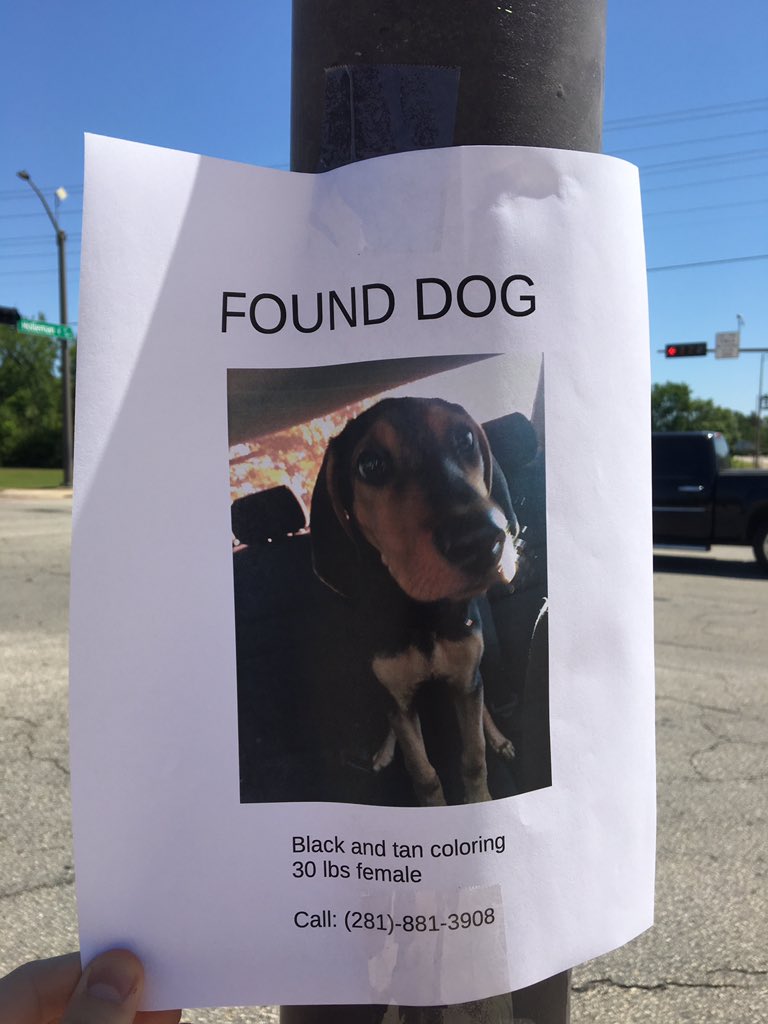 Candy95's tweet photo. 🚨🚨🚨 AGGIELAND 🚨🚨🚨
RETWEET and help this pup find her human! 
Flyer was at Dartmouth &amp; Holleman!! https://t.co/0y3JcJE2SG