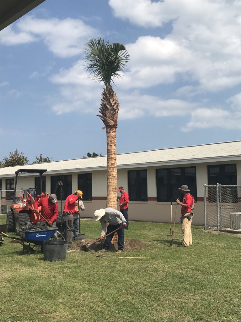 christina81883's tweet photo. Huge thanks to @clubwyndham @ #oceanwalk @jennseepersaud & #beckswholesalenursary of @cityportorange for our Sabal palm to celebrate #ArborDay2018 @rjlCardinals tomorrow! A beauty in front of our @RJLMedia @Cass_Stewart @jlwatson11 @volusiaschools #CaringCardinalsThriveByTheSea https://t.co/kiFfvWrkiA