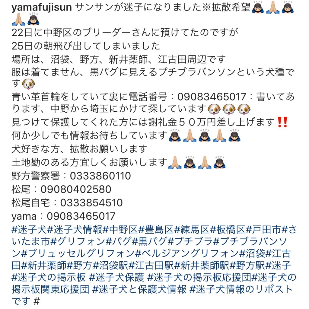 プチブラバンソン プチブラバンソン