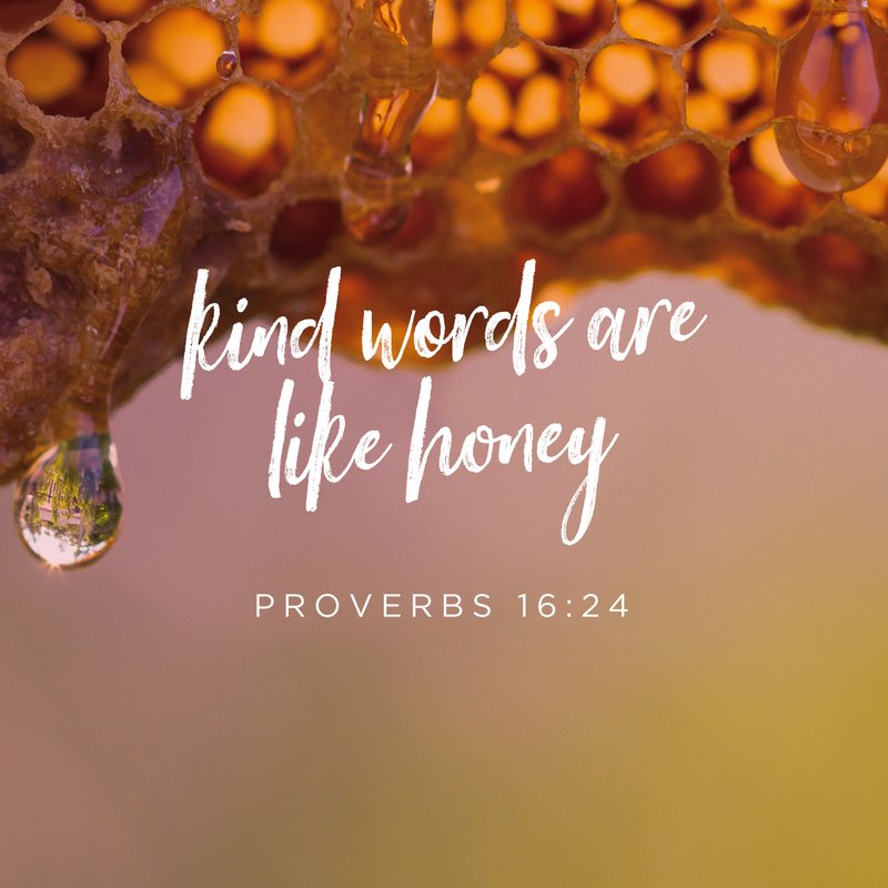 LAMofbaltimore's tweet photo. We welcome you with open arms as we extend an invitation to you to visit us here at Love Alive (LAM) where you will find love like honey. See you Sunday! Love You More! #LAM, #LoveAliveMinistries, #churchesinbaltimore, #God, #Godslove!, Jesuslovesme!, PraisetheLord! Godspeople! https://t.co/ZFMkaoWxhp