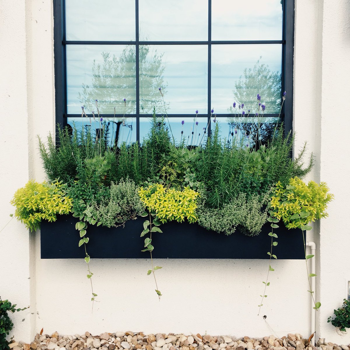 CarlingHale's tweet photo. The Magnolia Table cookbook is available in @target stores and online.
#magnoliatablecookbook #magnoliatable #targetstyle #targetvml #t1542 @Robert0928 @ChristinaSafady https://t.co/B4Kjig5Qf9