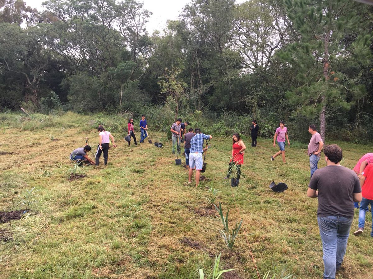 diegowassner's tweet photo. Starting the southernmost plantation of #Acrocomia in Argentina. Exploring the limits to expand crops for biorefinery with rural development https://t.co/sqCB3xdqCd