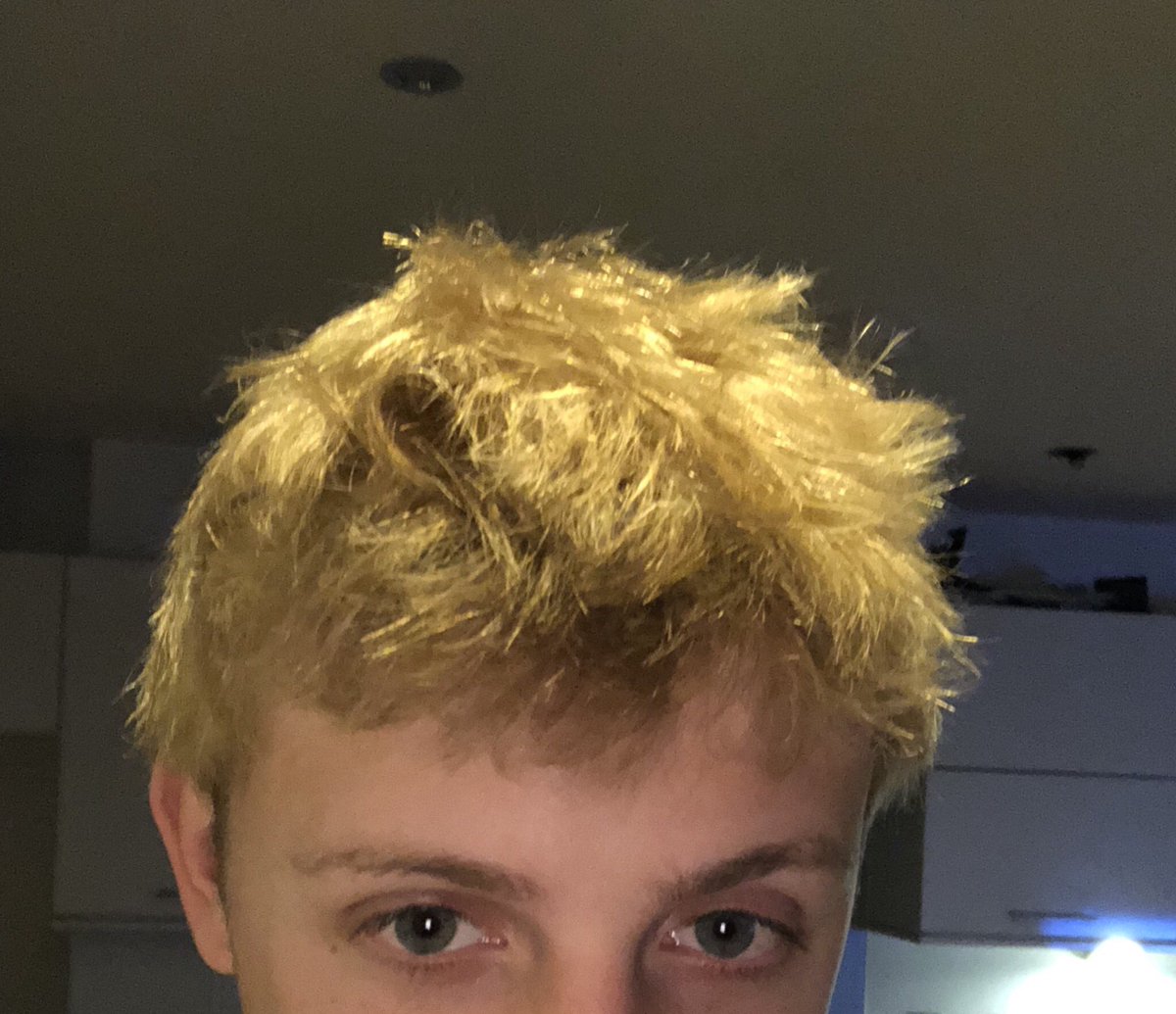 wroetoshaw's tweet photo. I ASKED FOR FUCKING ASH BLONDE AND LOOK WHAT HAPPENED https://t.co/esenQW7RBb