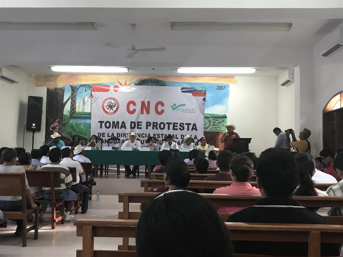 silviara13's tweet photo. @PRImx_JMM presente en la toma de protesta de la dirigencia estatal de la vanguardia juvenil agrarista felicidades @CNCQRoo https://t.co/o4cV127oZg