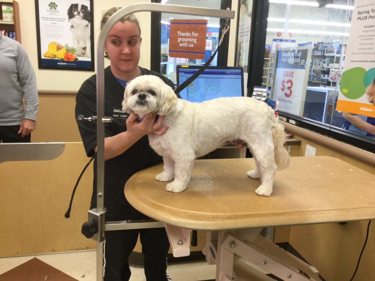 #nyc #0733 #northeeastgrooming #extrememakeover Melissa Thompson