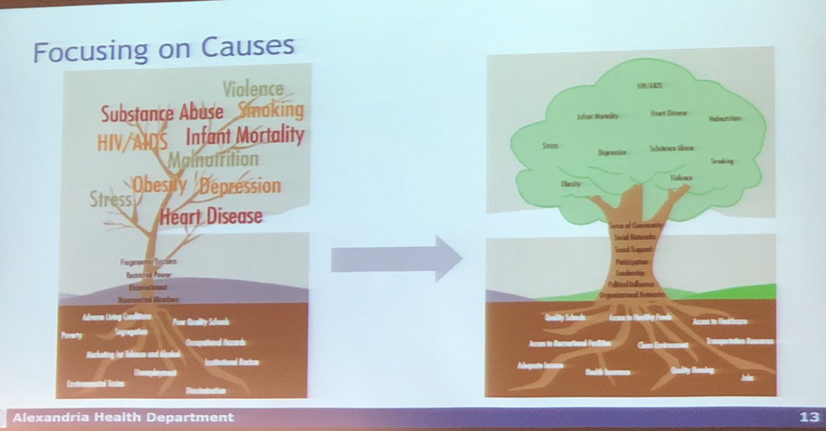 hapeeler's tweet photo. Kicking off the Alexandria Health Assessment by learning about the root causes of health disparities. Love the focus on #equity! #AlexHealth #HealthMatters https://t.co/mUj0MN0aFt