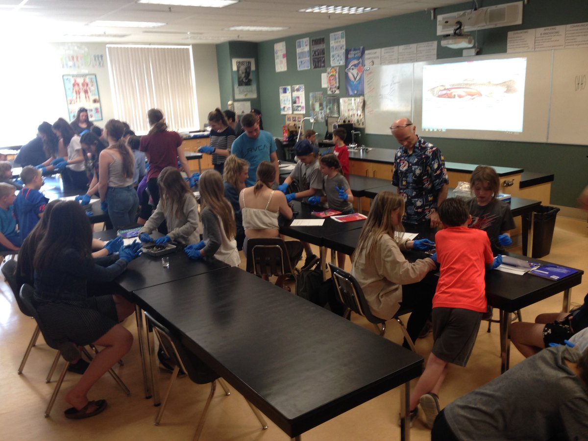 <a href="/hark07/">Scott Harkness</a> and <a href="/geoffwaterman/">geoffwaterman</a> Biology classes leading grade four students from Uplands in a dissection. #crosscurricular #handsonlearning #crossgrade #TADL