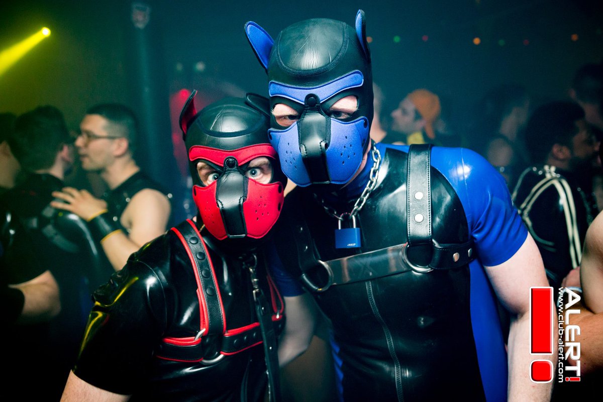 Sneaks_Puppy's tweet photo. found in the gallery of alert club Manchester :) nice photos .. that was a awesome night !! @DanPup #puppy #mrm9 @ClubAlert https://t.co/iIRC8kjegf
