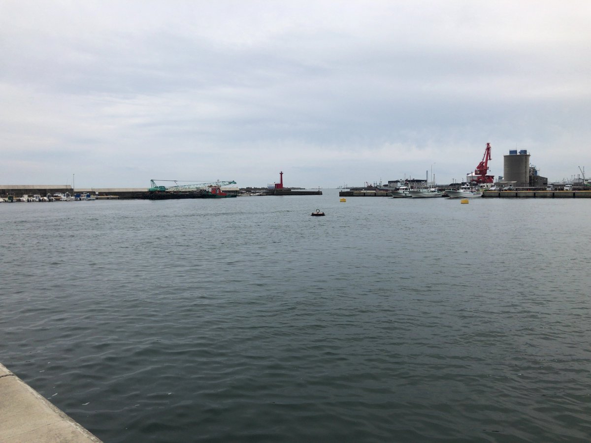 釣侍日立港 Sur Twitter 本日の久慈漁港の様子です なんと数日前に良型イワシの大きな群れが入ってきたとの事 今日はイワシは確認できませんでしたが ゴールデンウィークはイワシ あわよくばアジにも期待しちゃいますね