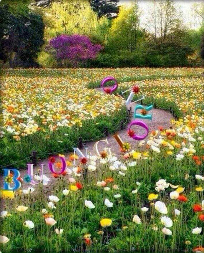 life7575's tweet photo. @lisbeth_5167 @UnTemaAlGiorno @matitesbagliate @unalucediluna @Labellapassante @Davidone74 @AnnaMar19247219 @mata50113 @vandina1954 @PaolaDa73 @Iron_dede @SilviaLaSbadata @danpuzzle72 @skywalker5005 @cribarca @nappyflo Buon venerdì #family....#ProvoA svegliarmi...ma finché non sento il profumo del tuo caffè è impossibile ☕️🌹☕️ https://t.co/SZnCNur9Vy