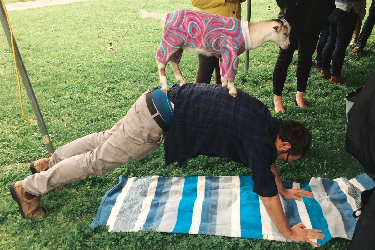 numerical_brain's tweet photo. Just one of those days we get to hang out with baby goats in PJ that do #yoga #yogoats #shenanigoats https://t.co/0Ha4jDNvXX
