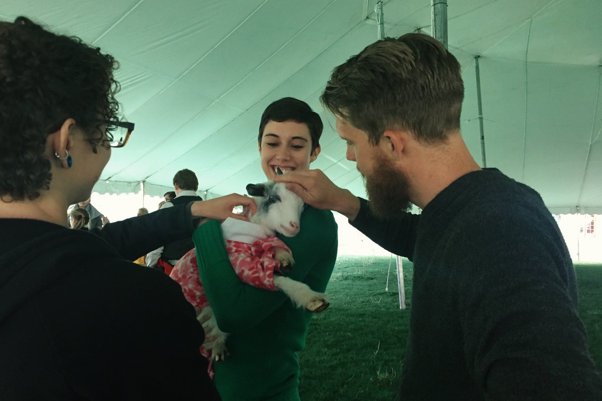 numerical_brain's tweet photo. Just one of those days we get to hang out with baby goats in PJ that do #yoga #yogoats #shenanigoats https://t.co/0Ha4jDNvXX