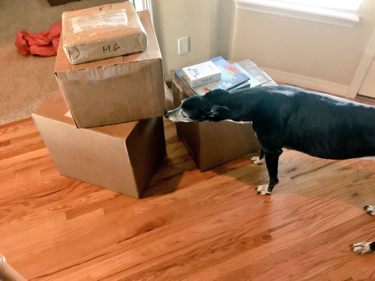 Heavy_Con's tweet photo. Asher aka the #HCHQ Customs Inspector clearing the first shipment of support for #HeavyCon18 @HeavyCardboard https://t.co/lbPGbz81I8