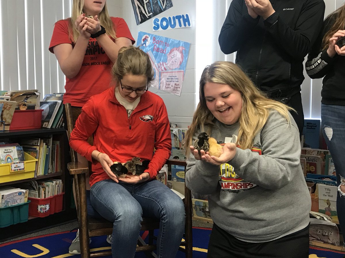 JB_Broadcasting's tweet photo. We got to hang out with some pretty cool chicks today! Hatched by jb_eagles 1st grade @SandyBehrends. Story coming soon! ❤️🐥 https://t.co/p9pg4AzOV4