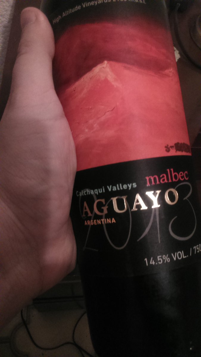 Uno de los nuevos grandes vinos del NOA. Su mejor virtud es ser un distinto, con una muy rica fruta de mucho sol, gran complejidad y una larga crianza perfectamente integrada. Taninos bien rústicos, que se hacen notar pero no molestan. Chapeau <a href="/agustin_lanus/">Agustín Lanús Wines</a>