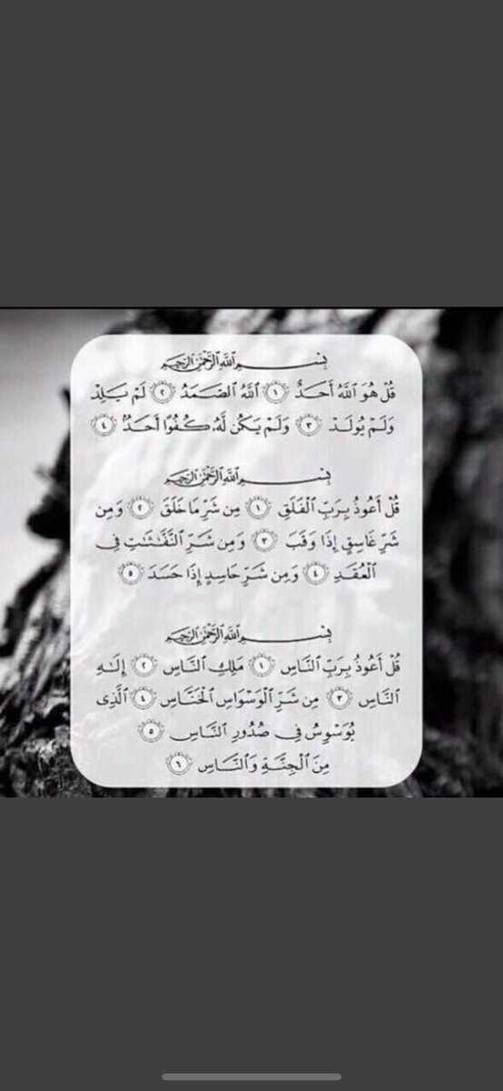 ♠️ tweet media