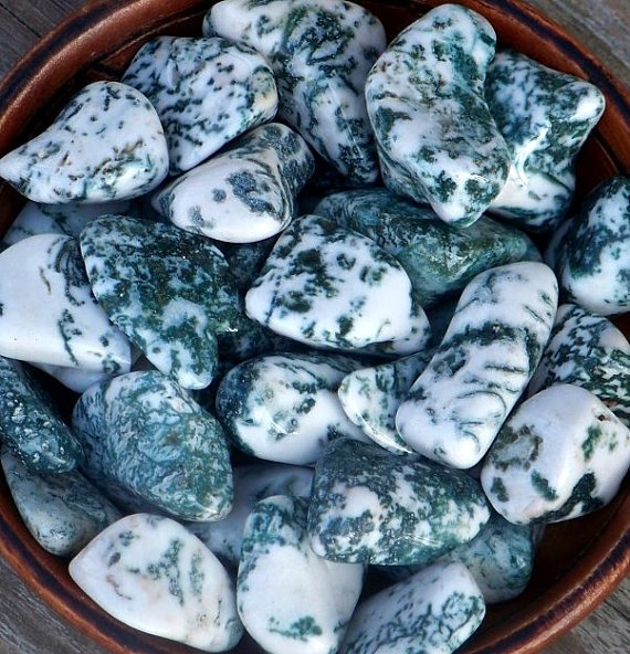 CrystalWind's tweet image. Crystals, Gems, Elixirs: Crystal Magic: Tree Agate #crystalwind #TreeAgate #CrystalMagic tinyurl.com/oyrpknp