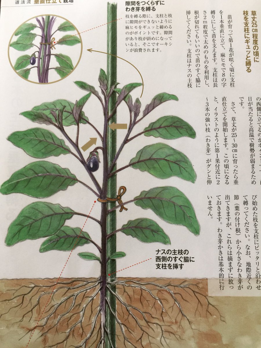 うさ Huku Poo Naochan これは面白そうな方法ですね Twitter