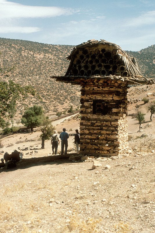 Historically, a major concern for beekeepers was how to keep wild animals from getting to the honey and destroying the hives. One way of doing it was by building towers and putting the hives on top, like these in Asia Minor (now Turkey), of which very few remain today.