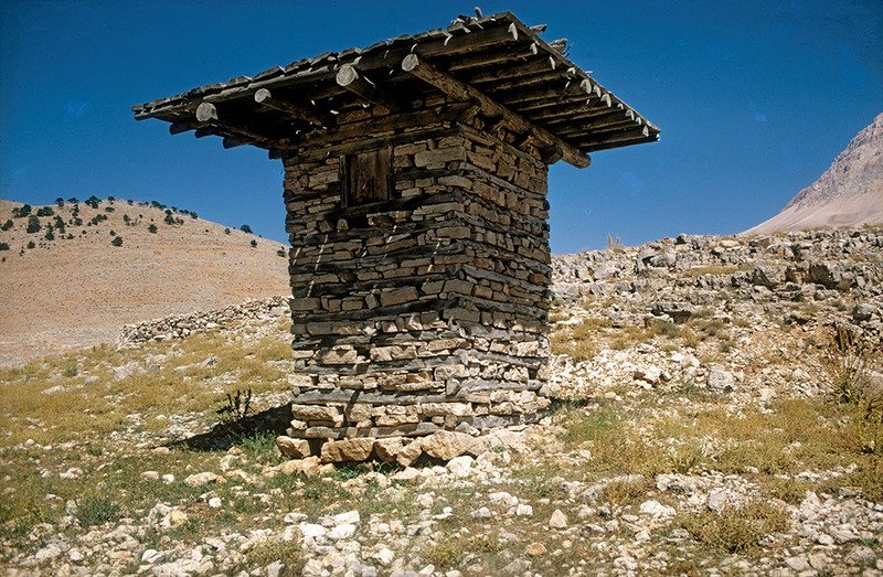 Historically, a major concern for beekeepers was how to keep wild animals from getting to the honey and destroying the hives. One way of doing it was by building towers and putting the hives on top, like these in Asia Minor (now Turkey), of which very few remain today.