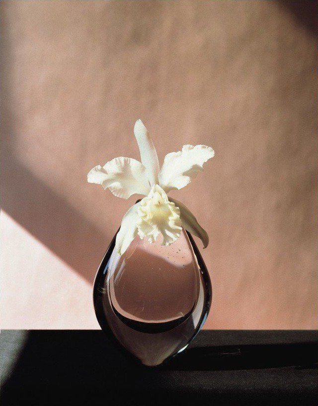 L Esprit Mao Asada Twitterissa ロバート メイプルソープ 花のフォトも美しいですよね 彼はヴィンテージのベース 花器 のコレクターでもあったのだけど 彼の死後 私物がオークションにかけられた時 私の後輩のアートディレクターtが結構な数の メイプル