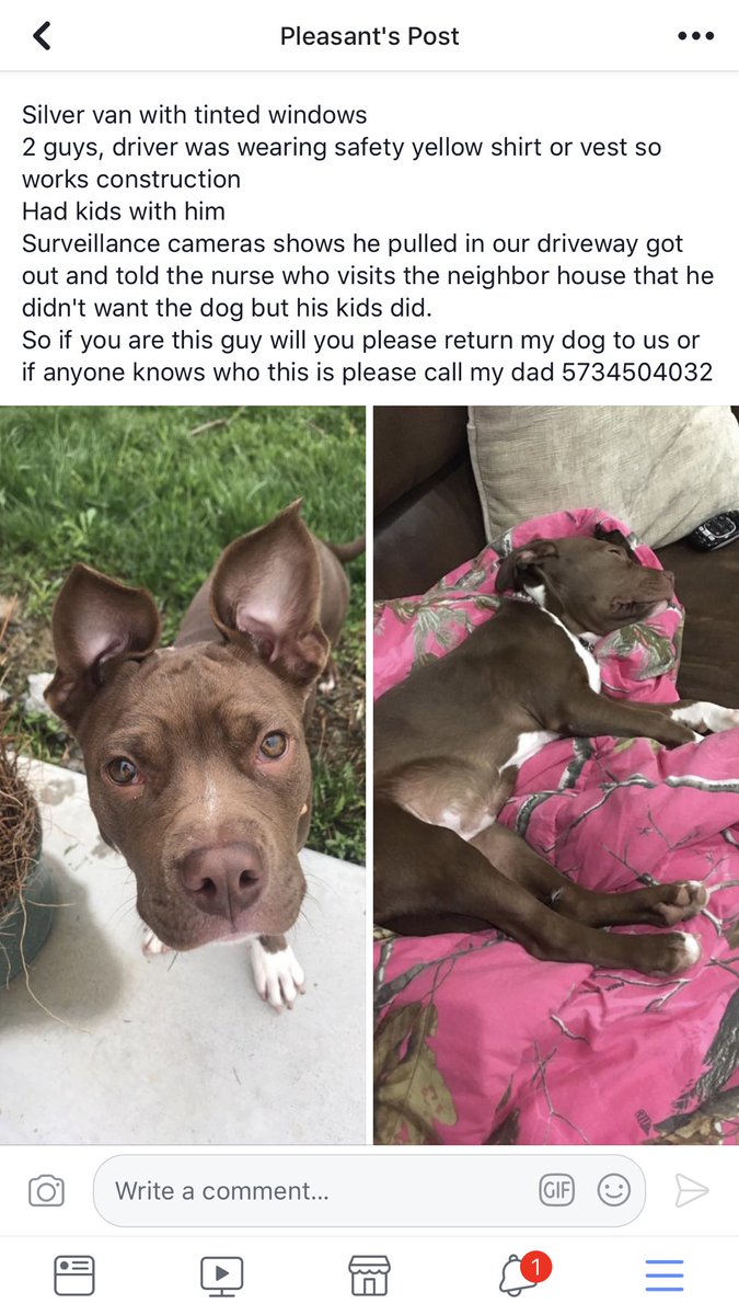 4x4_barbie's tweet photo. Please help me get my puppy back😭 https://t.co/VuXFL4aaTT