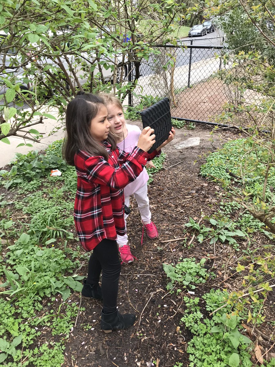 Taylor First Grade tweet media