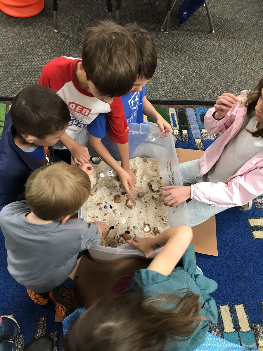 Taylor First Grade tweet media