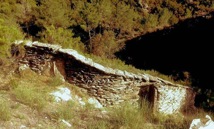 They were always built on south facing slopes in forested hills or mountains, in order to make it easier for bees to orient themselves and to have a steady supply of flowers to feed on. The forest foraging bees were often considered to produce superior honey.