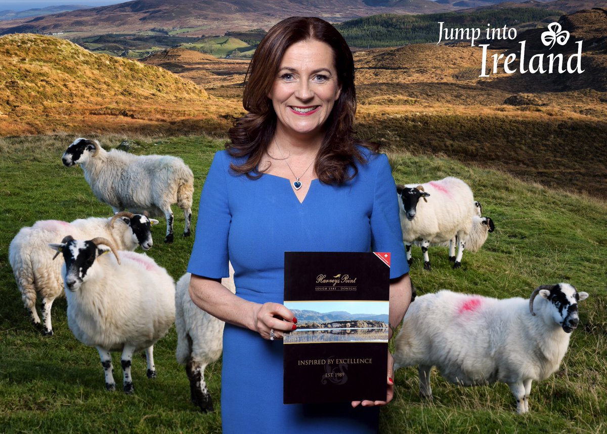 DDMcGlone's tweet photo. Who knew that there were sheep in Seattle?๐#JumpintoIreland @GoToIrelandUS @TourismIreland #JITI @govisitdonegal https://t.co/0kuWUwI5md