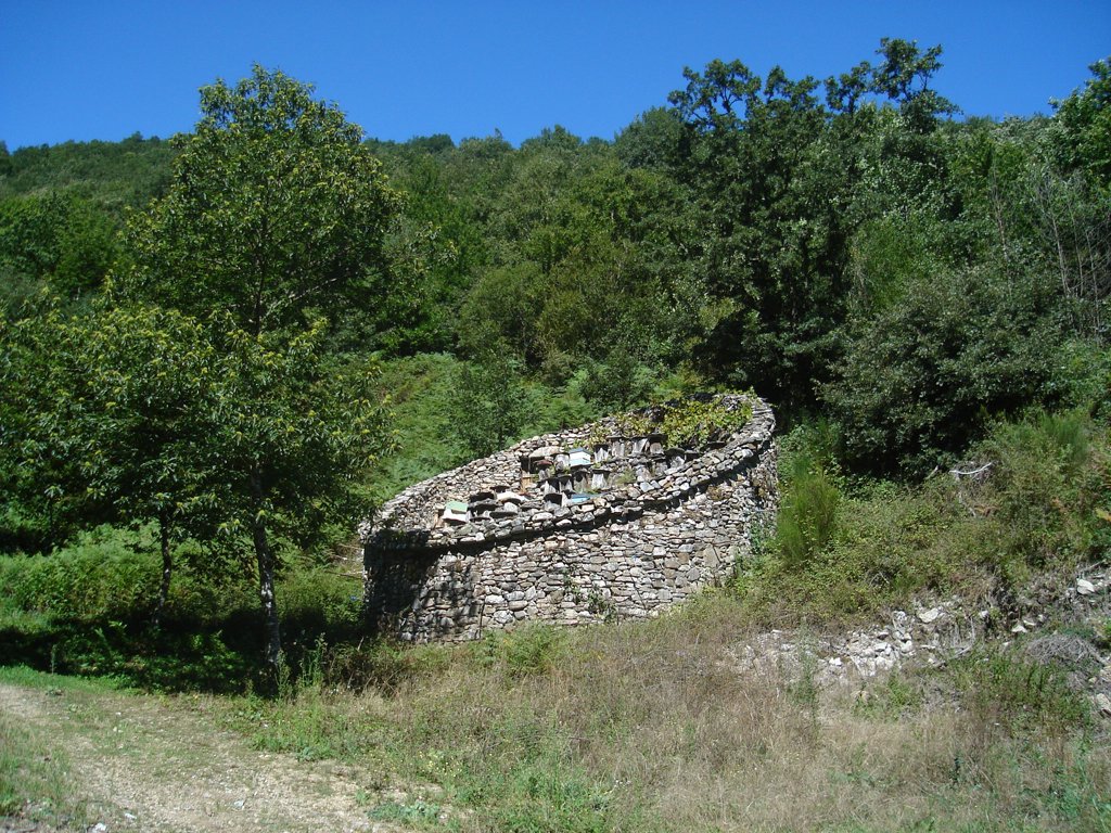 The walls also protected against wind toppling the hives, and the sun heated stones helped to create a good micro climate, radiating the stored heat during the nights, prolonging the season, just like the walled gardens famously built in England.