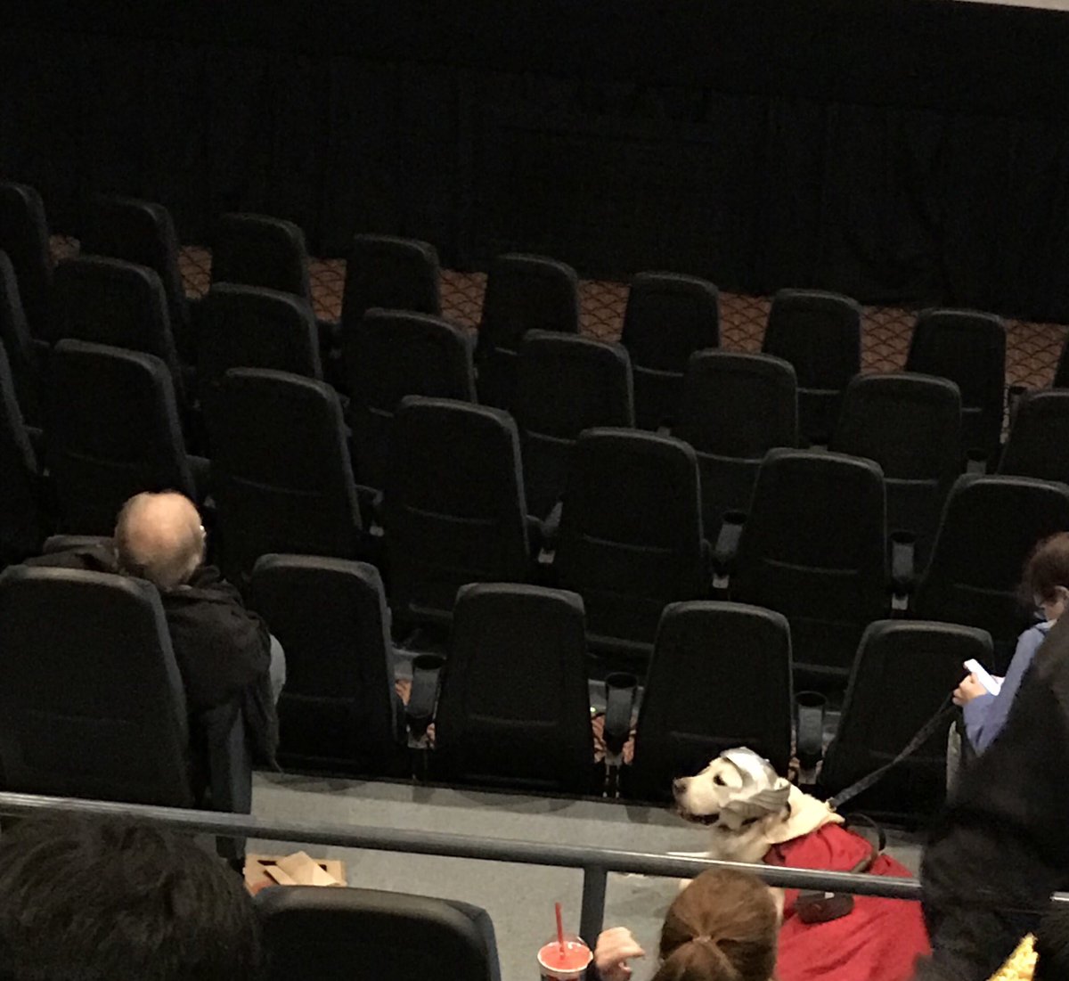 trepic100's tweet photo. There’s a dog dressed as Thor in here. #InfinityWar https://t.co/PJQvCxQHU0