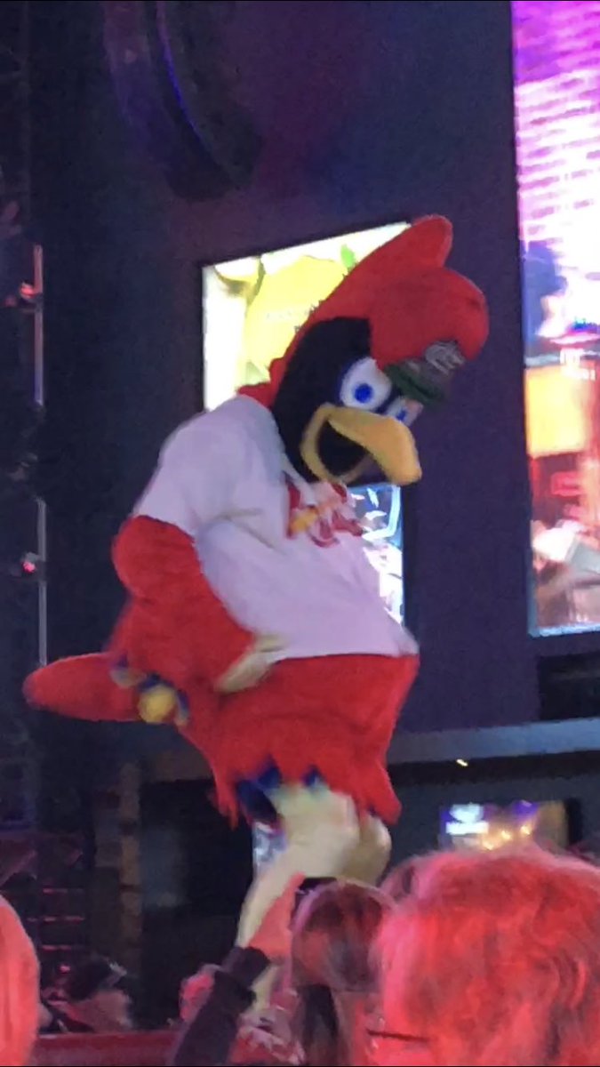 ASkrobutanas's tweet photo. No one can dance as good as this bird!! #MForum18 #bluestraveler https://t.co/qBZVruZnSl