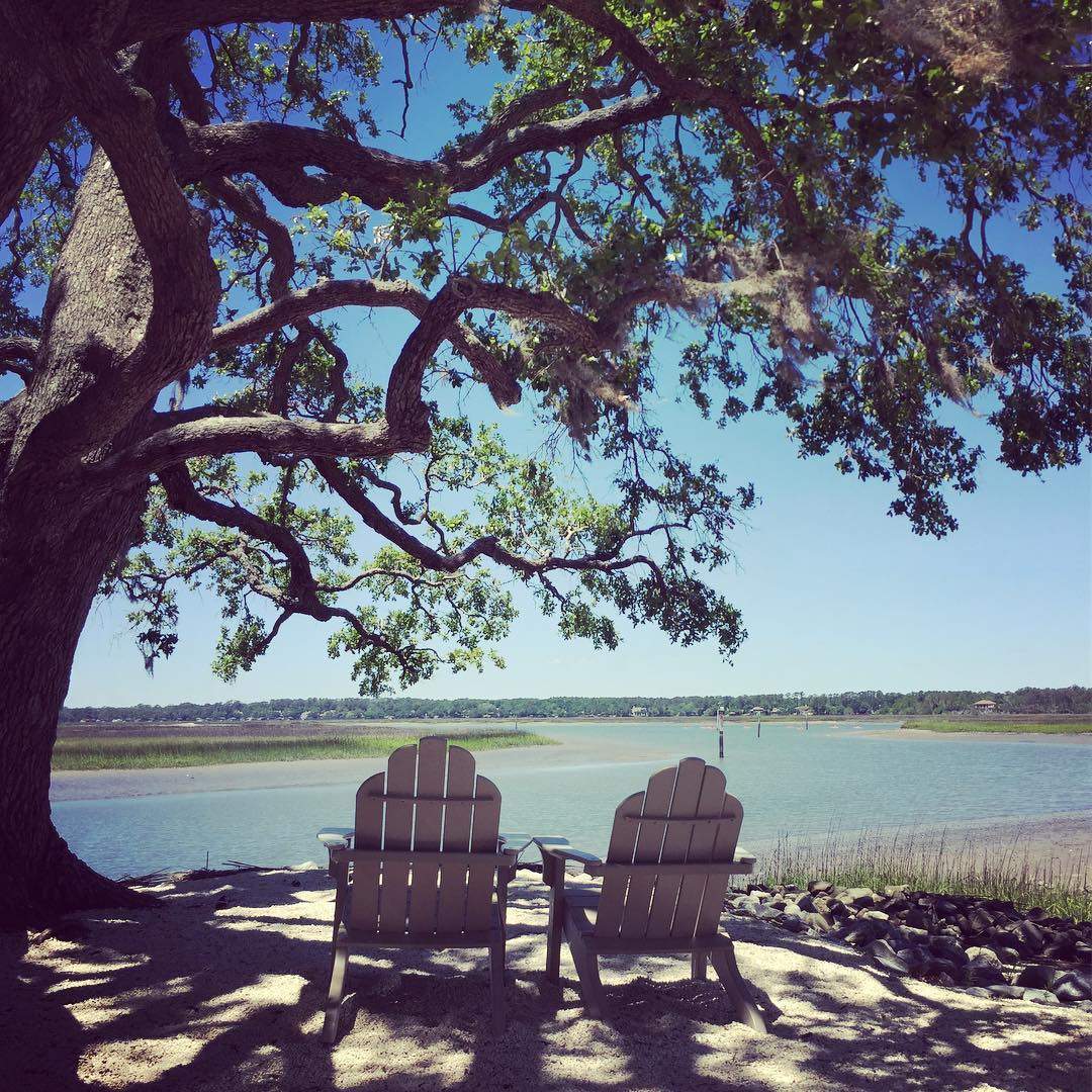 hiltonheadsc's tweet photo. We heard you needed some sunshine, so we pulled up two front-row seats ☀️ https://t.co/NxjLxX4wKn #LowcountryLife

📸 : @carrot.ca https://t.co/rIlk1Qu1o8