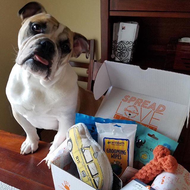 ShaggySwagBox's tweet photo. Okay...one more tonight because @zekethebulldawg looks too fly posed up next to that fresh #Swag! See all you Shaggy dawgs for more tomorrow. #LETSSHAGG #shaggyswag https://t.co/GQleBfNwJC https://t.co/C20kyeK2Dc