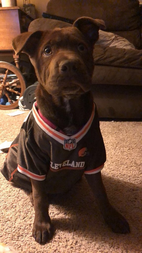 BrittanyLytton7's tweet photo. Still waiting anxiously for her name to be called.... #NFLDraft #FutureBrown https://t.co/cHymyQlHLR