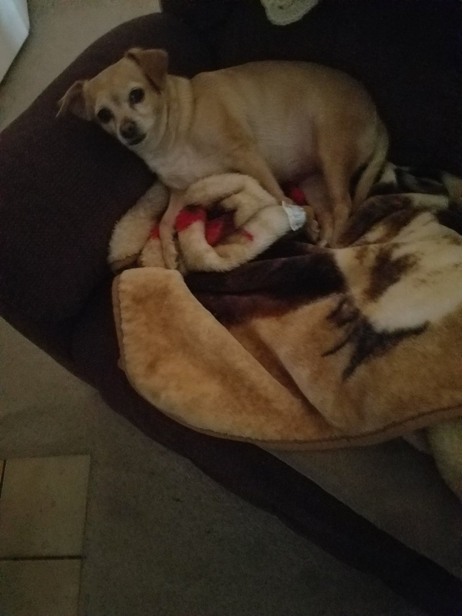 MamaTazzy13's tweet photo. Will try to update #fundraiser soon since Papas surgery๐คSorry busy w/caring 4 him #NoIns https://t.co/m2cOftySmJ ๐Hosp needs $ signed 4 help https://t.co/Aj5DIR7ziM